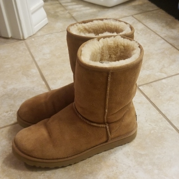UGG Shoes - Chestnut Uggs